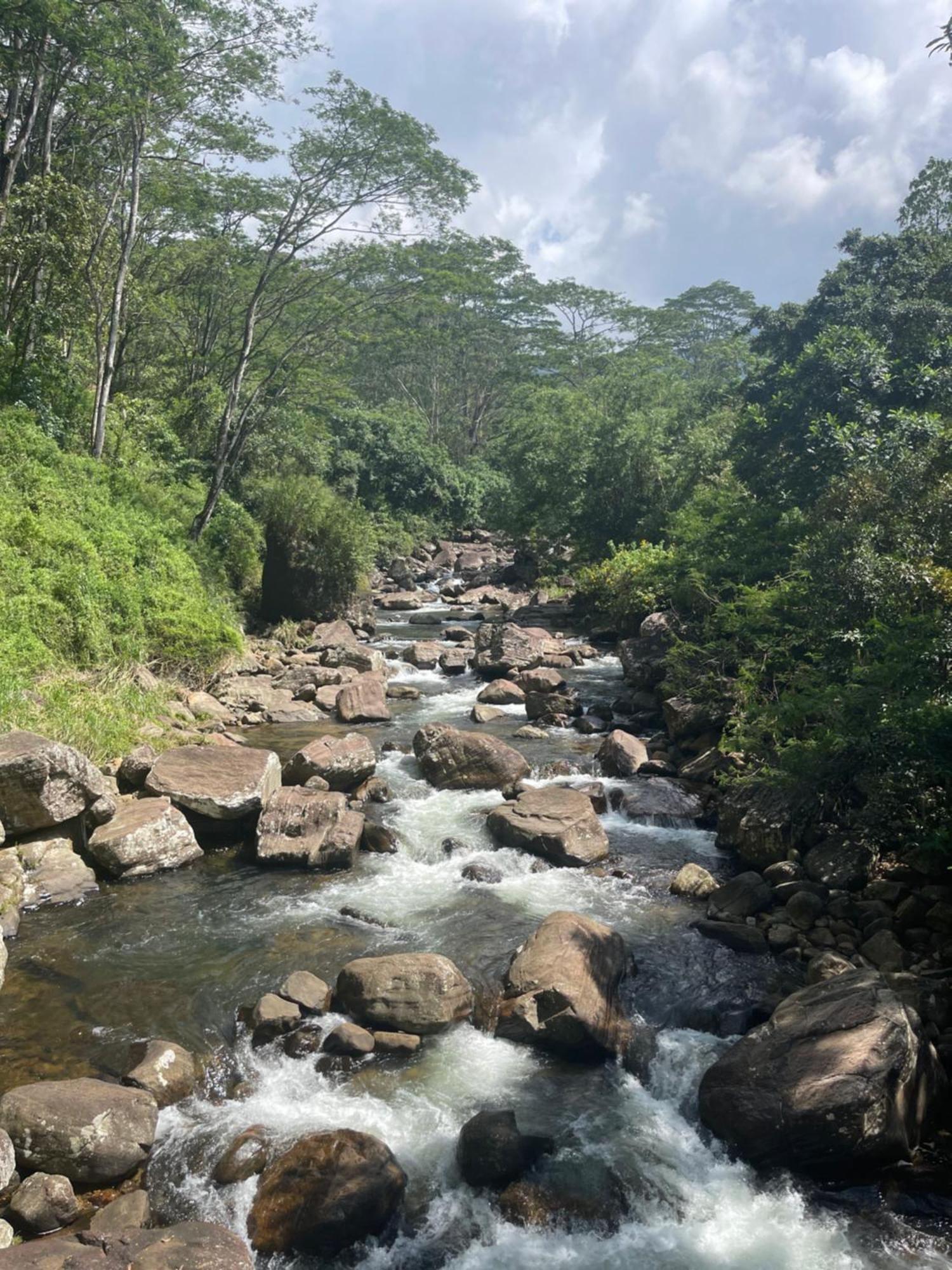 Eagles Lodge - Kandy Digana Dış mekan fotoğraf