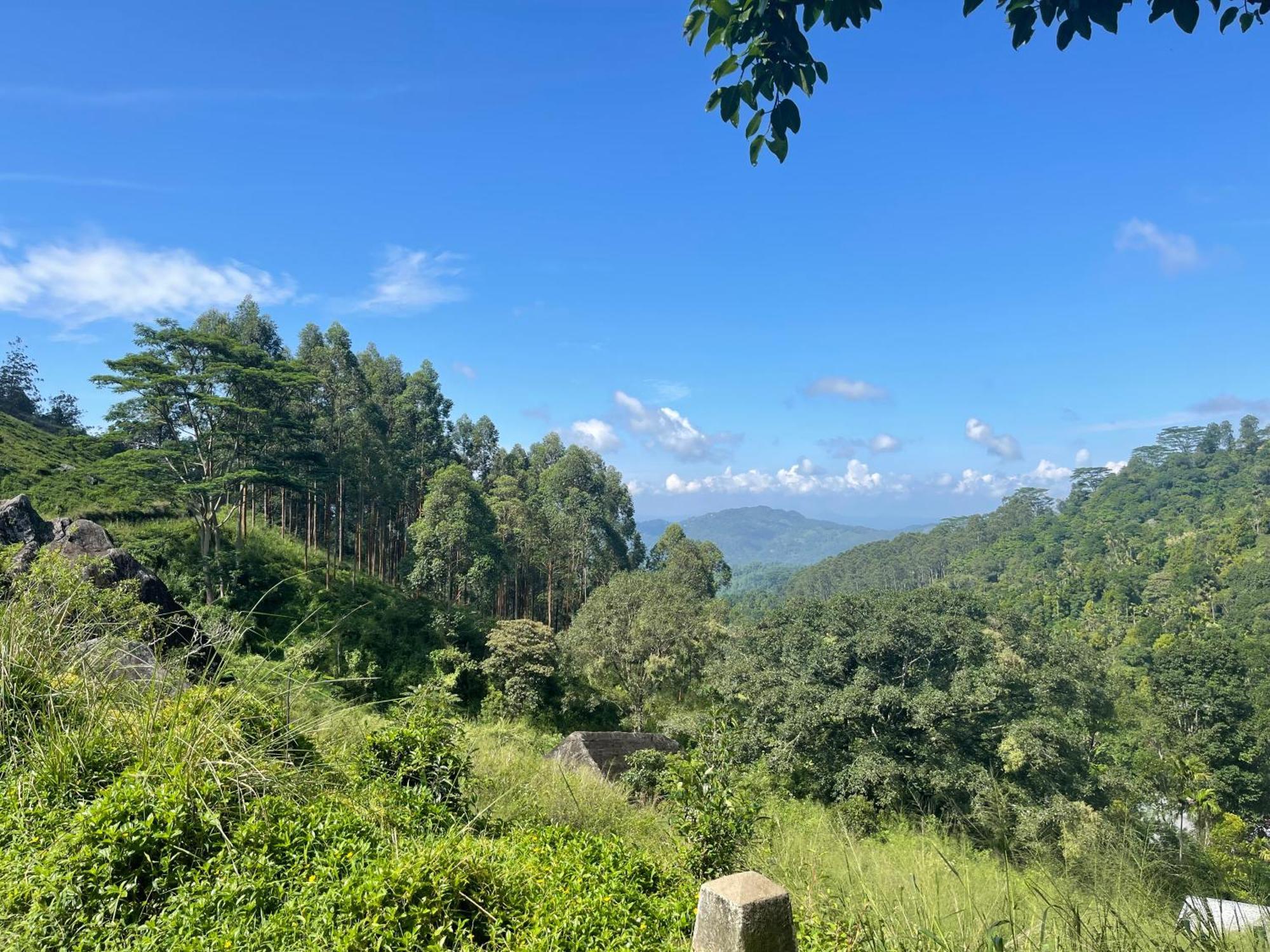 Eagles Lodge - Kandy Digana Dış mekan fotoğraf