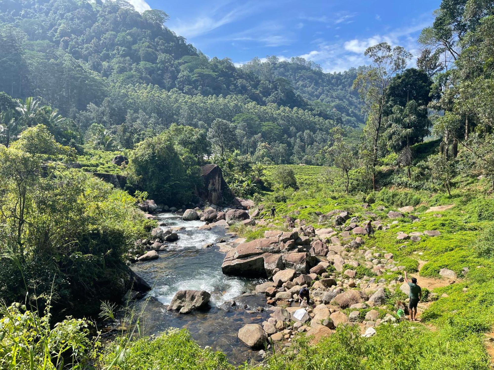 Eagles Lodge - Kandy Digana Dış mekan fotoğraf